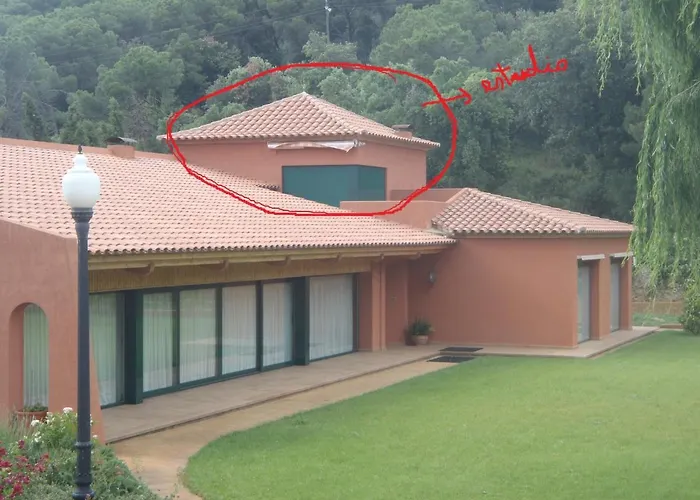 Estudi *